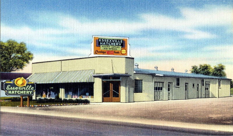 Essexville Hatchery - Vintage Postcard (newer photo)